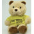 Get Well Soon Brown Bear with Jacket 20cm +$16.95